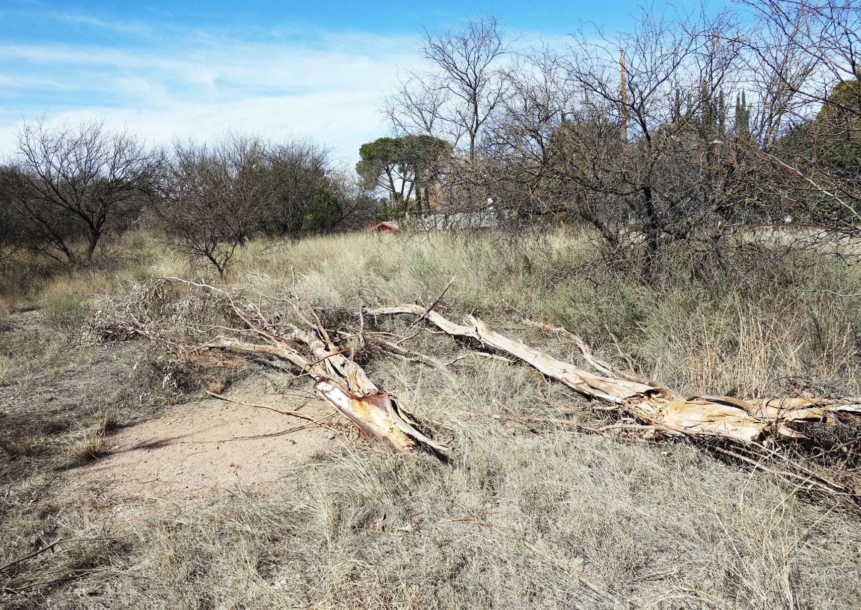 Land purchase